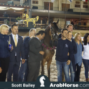 The 2018 Brazilian National Horse Show