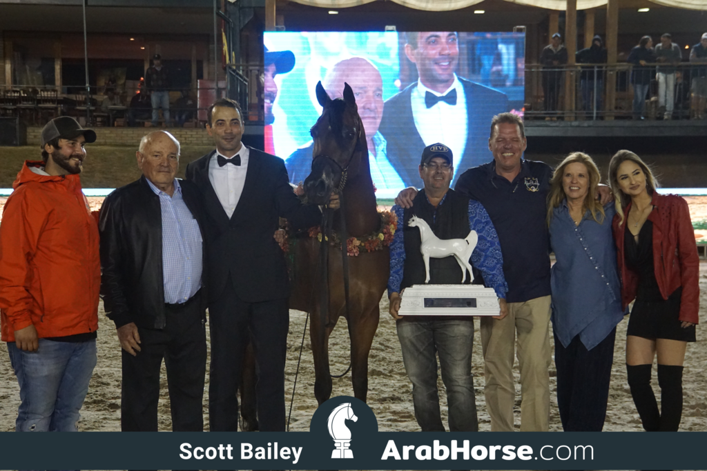 The 2018 Brazilian National Horse Show