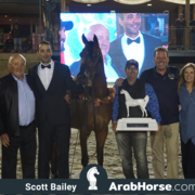 The 2018 Brazilian National Horse Show