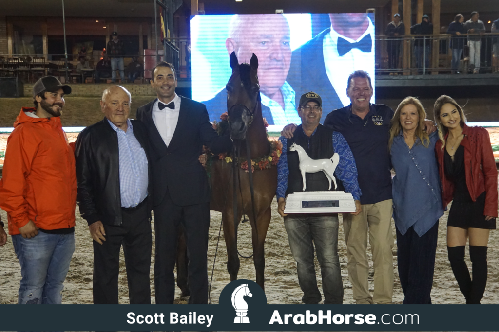 The 2018 Brazilian National Horse Show