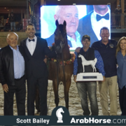 The 2018 Brazilian National Horse Show