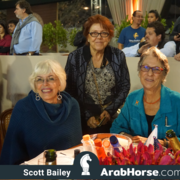 The 2018 Brazilian National Horse Show