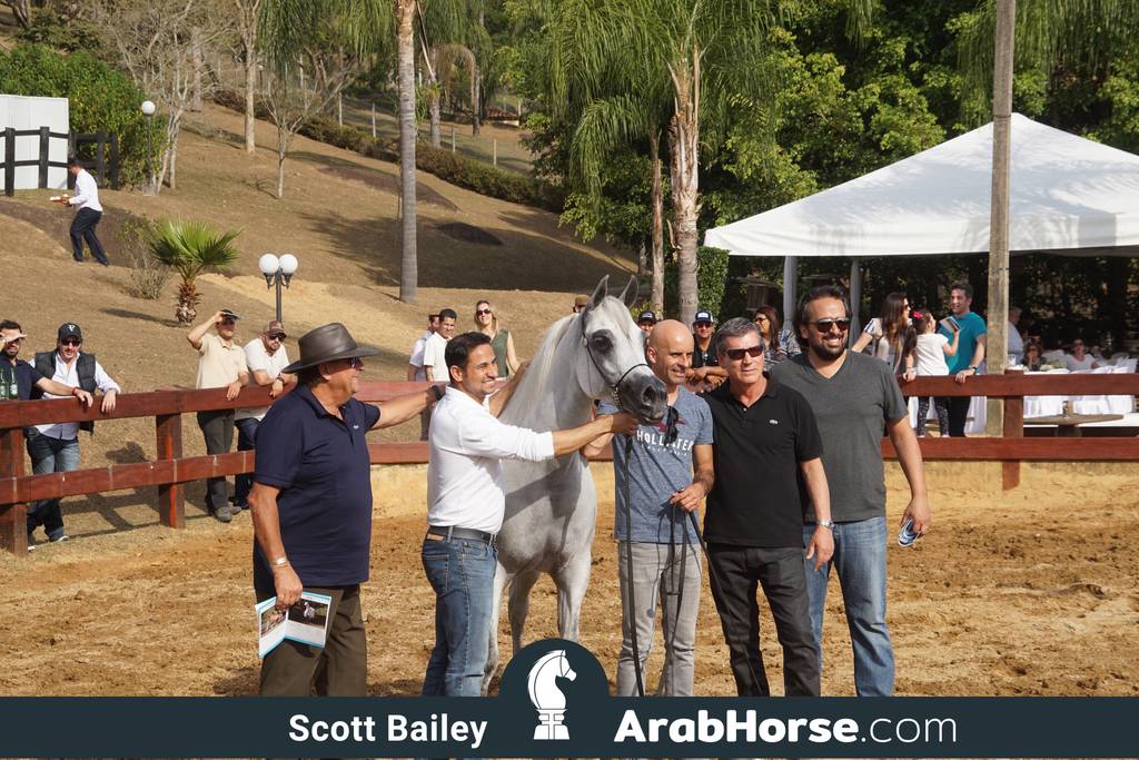 Haras Cruzeiro Open House 2018 Brazil 