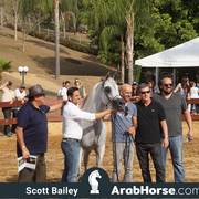 Haras Cruzeiro Open House 2018 Brazil 