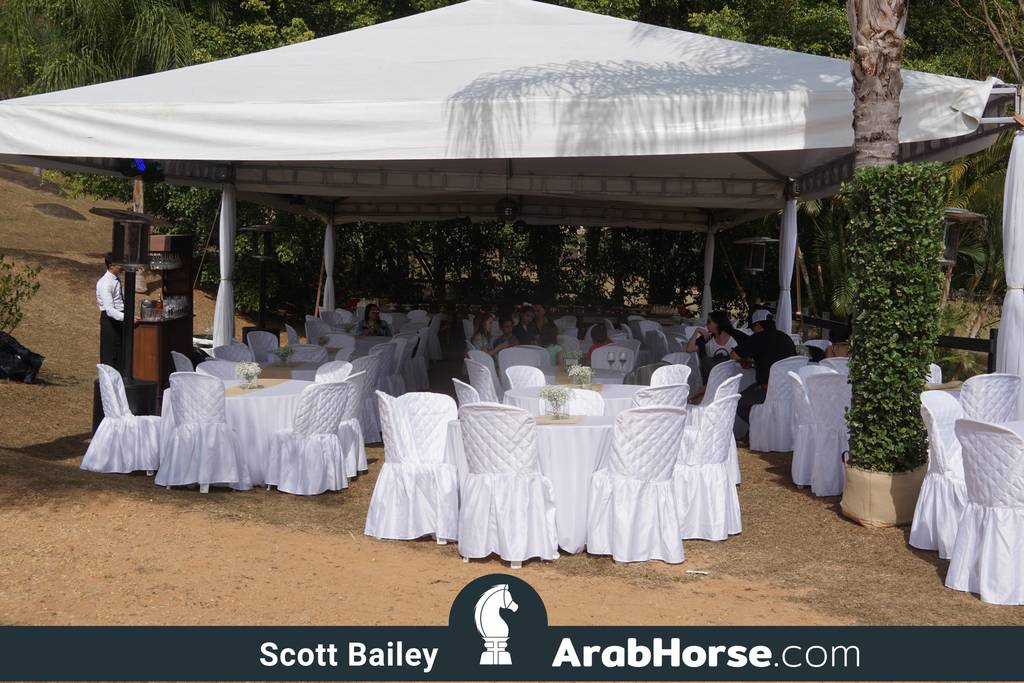 Haras Cruzeiro Open House 2018 Brazil 