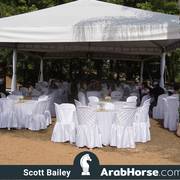 Haras Cruzeiro Open House 2018 Brazil 