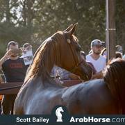 Haras Cruzeiro Open House 2018 Brazil 