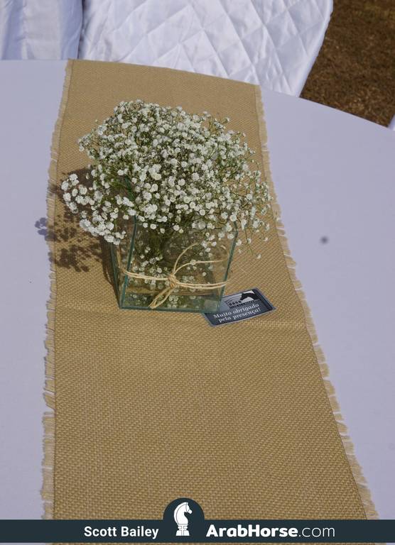 Haras Cruzeiro Open House 2018 Brazil 