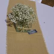 Haras Cruzeiro Open House 2018 Brazil 