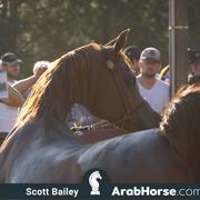 Haras Cruzeiro Open House 2018 Brazil 