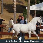 Haras Cruzeiro Open House 2018 Brazil 