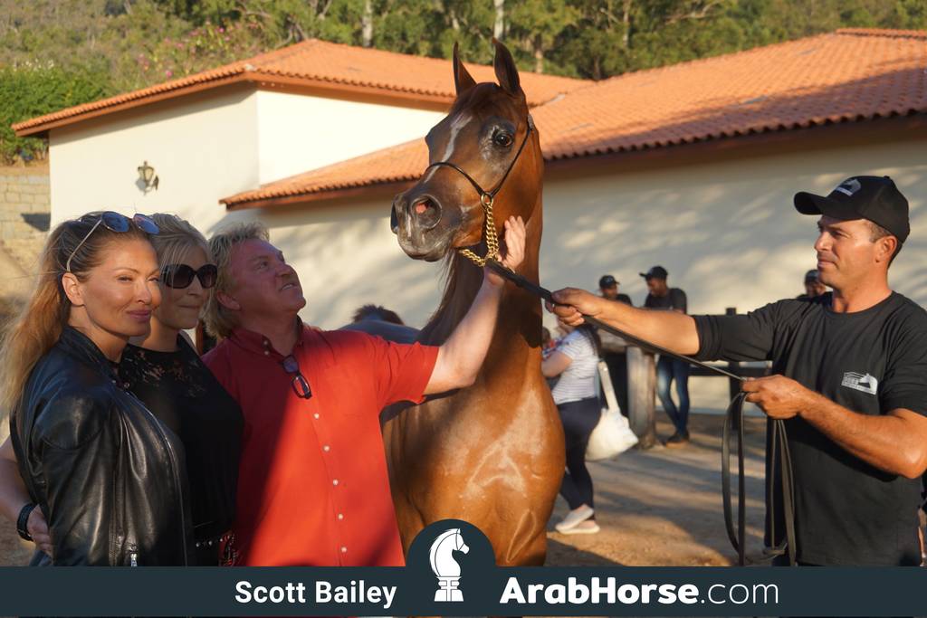 Haras Cruzeiro Open House 2018 Brazil 