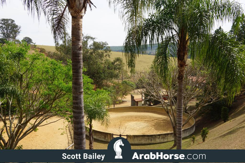 Haras Cruzeiro Open House 2018 Brazil 