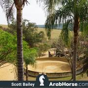 Haras Cruzeiro Open House 2018 Brazil 