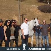 Haras Cruzeiro Open House 2018 Brazil 