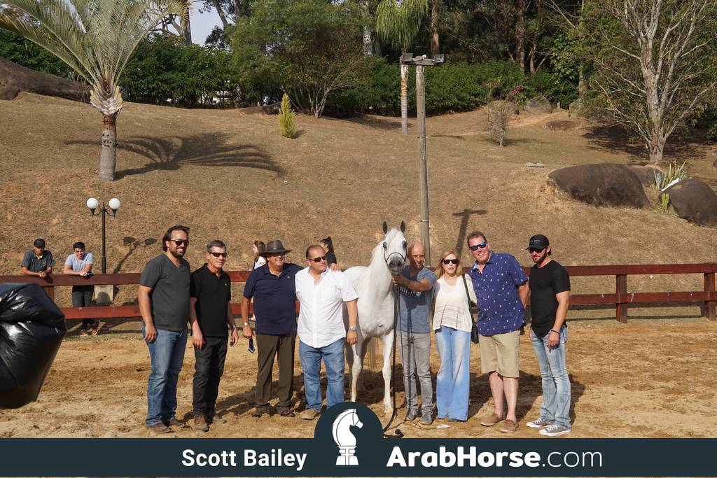 Haras Cruzeiro Open House 2018 Brazil 