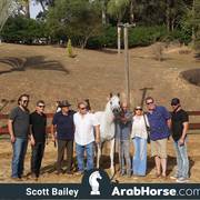 Haras Cruzeiro Open House 2018 Brazil 