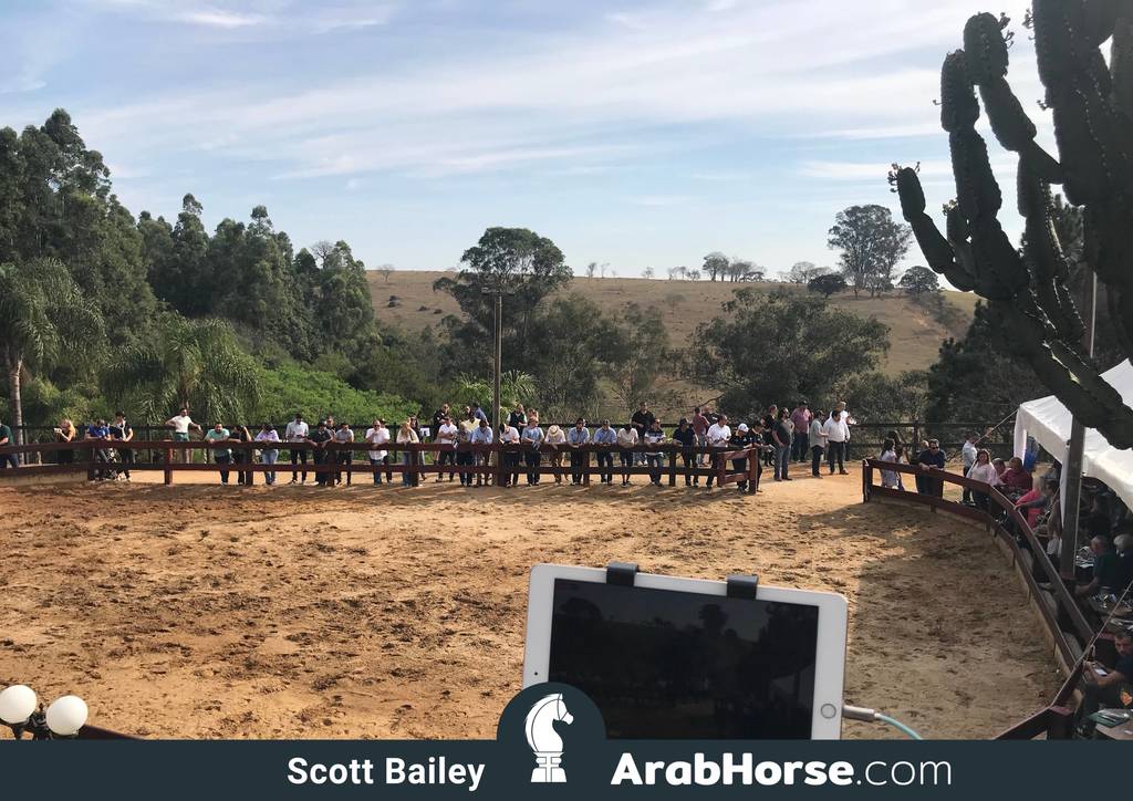 Haras Cruzeiro Open House 2018 Brazil 