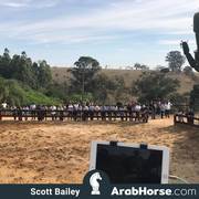Haras Cruzeiro Open House 2018 Brazil 