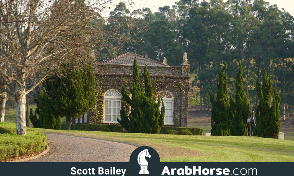 Haras HVP Open House 2018 Brazil 