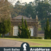 Haras HVP Open House 2018 Brazil 