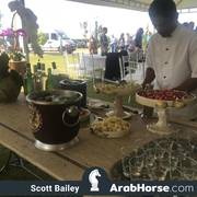 Haras HVP Open House 2018 Brazil 