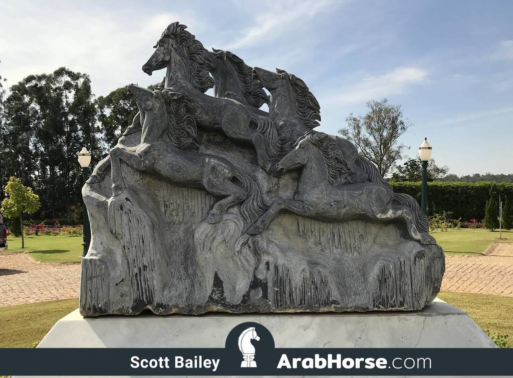 Haras HVP Open House 2018 Brazil 