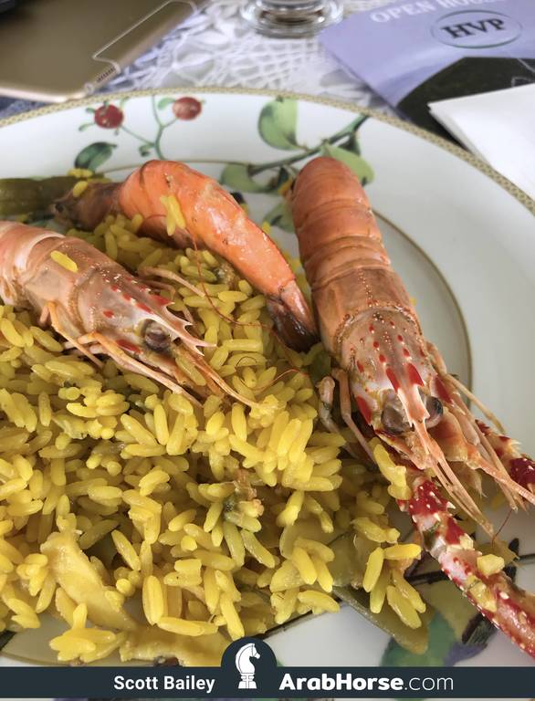 Haras HVP Open House 2018 Brazil 