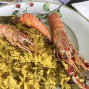 Haras HVP Open House 2018 Brazil 