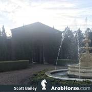 Haras HVP Open House 2018 Brazil 