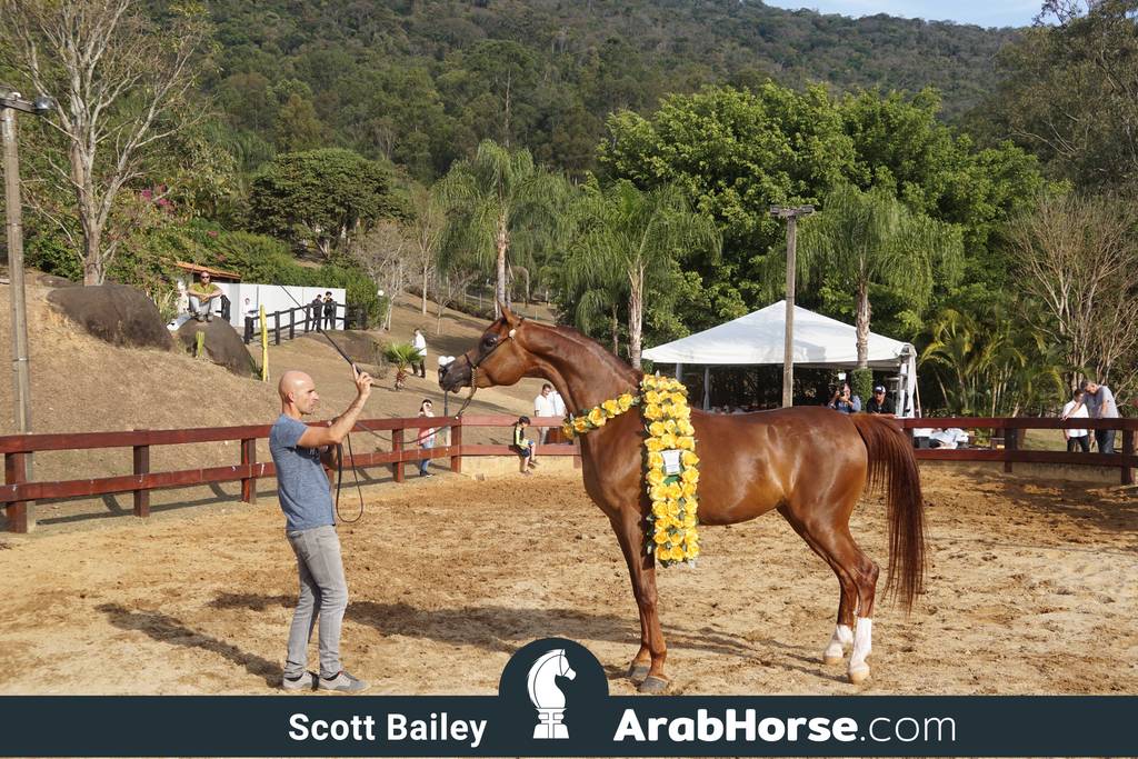Haras Cruzeiro Open House 2018 Brazil 