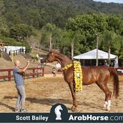 Haras Cruzeiro Open House 2018 Brazil 