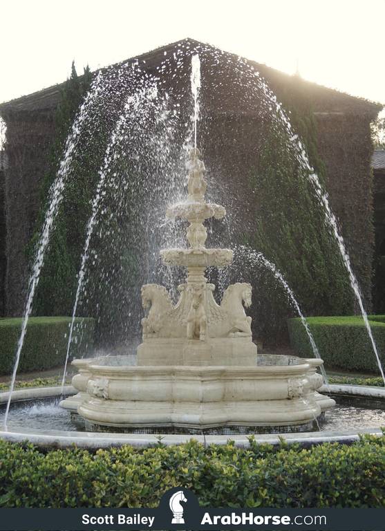 Haras HVP Open House 2018 Brazil 