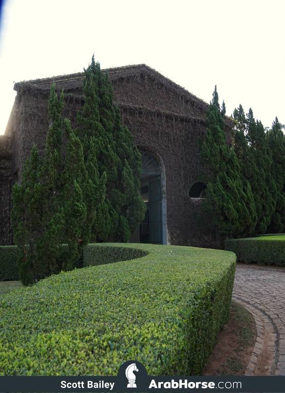 Haras HVP Open House 2018 Brazil 