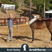 Haras Cruzeiro Open House 2018 Brazil 