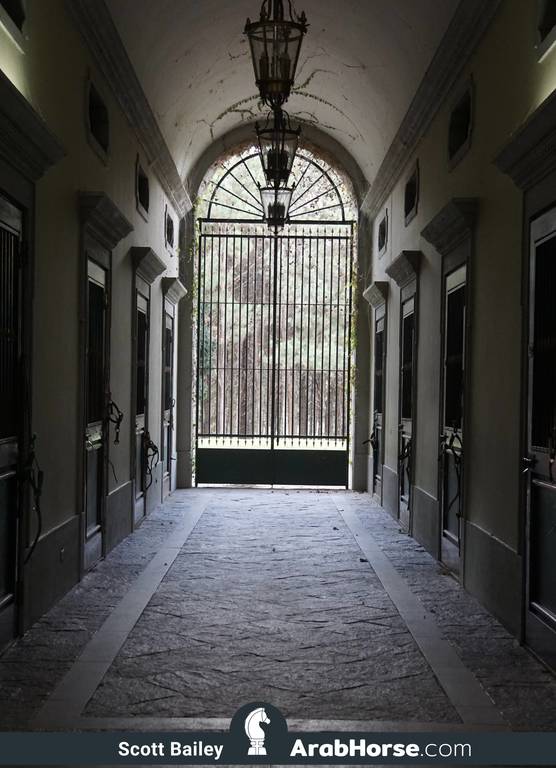 Haras HVP Open House 2018 Brazil 