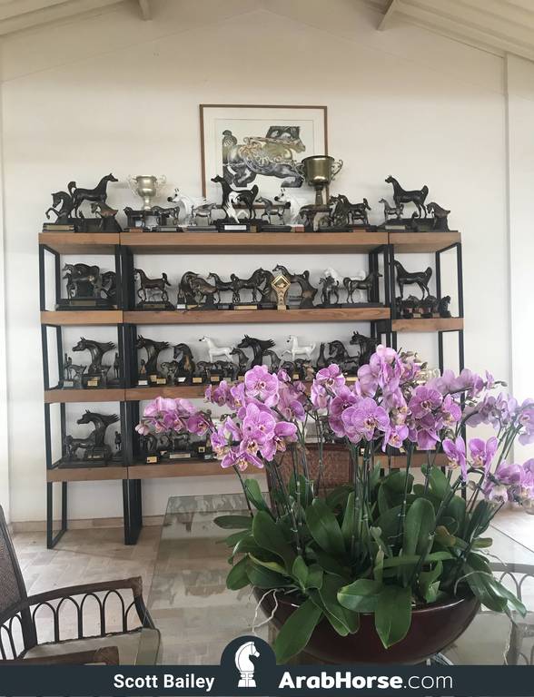 Haras HVP Open House 2018 Brazil 