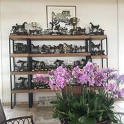 Haras HVP Open House 2018 Brazil 