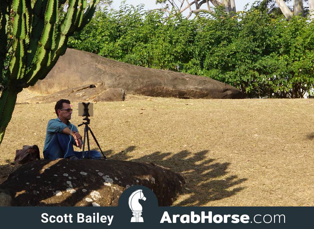 Haras Cruzeiro Open House 2018 Brazil 