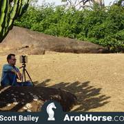 Haras Cruzeiro Open House 2018 Brazil 