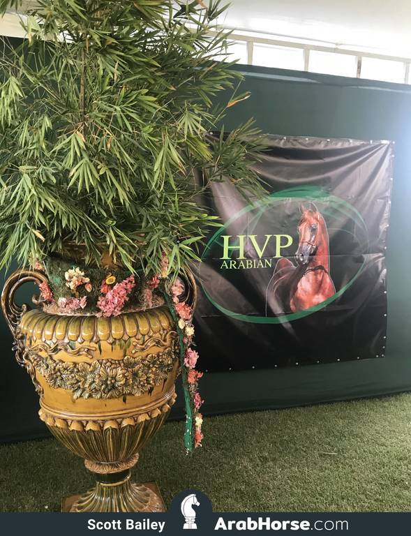 Haras HVP Open House 2018 Brazil 