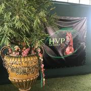Haras HVP Open House 2018 Brazil 
