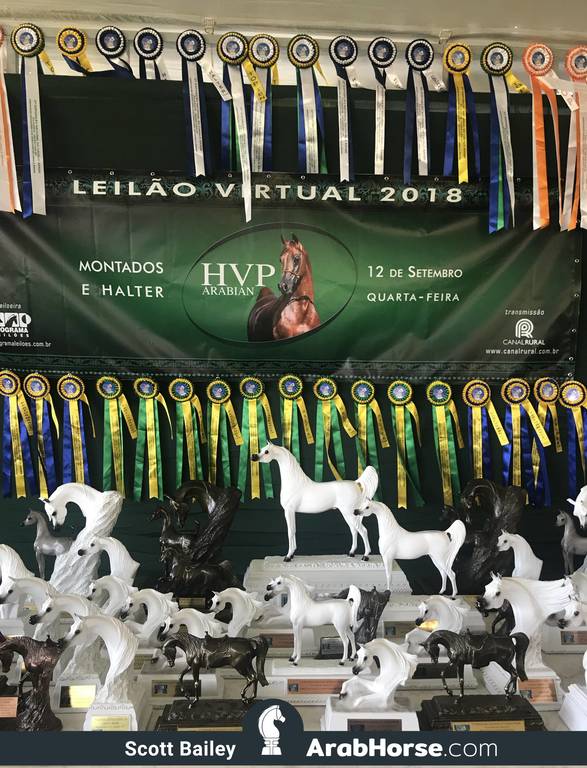Haras HVP Open House 2018 Brazil 