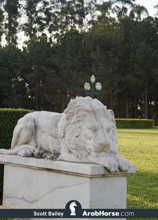 Haras HVP Open House 2018 Brazil 