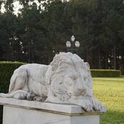 Haras HVP Open House 2018 Brazil 