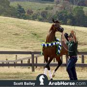 Haras HVP Open House 2018 Brazil 