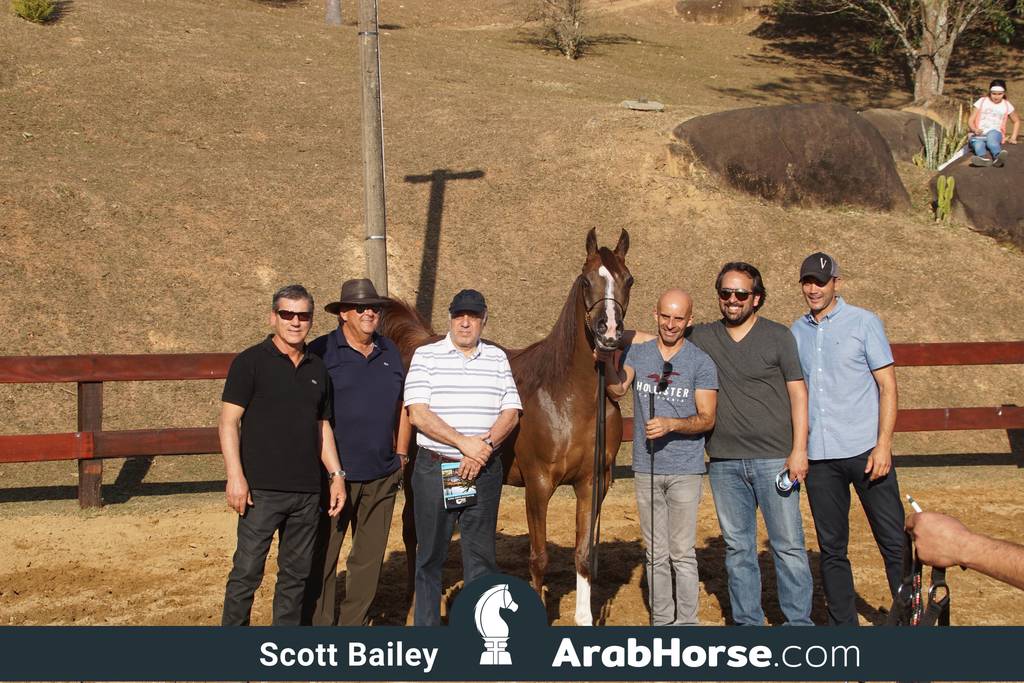 Haras Cruzeiro Open House 2018 Brazil 
