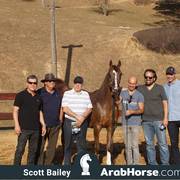 Haras Cruzeiro Open House 2018 Brazil 