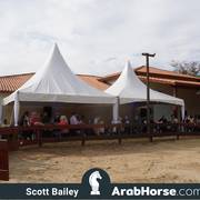 Haras Cruzeiro Open House 2018 Brazil 