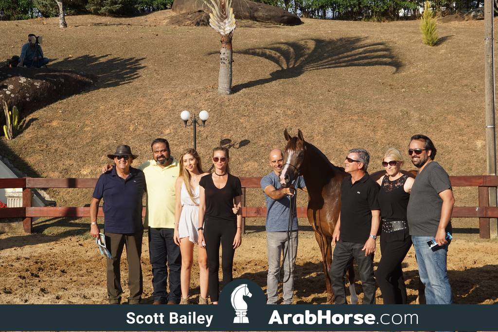 Haras Cruzeiro Open House 2018 Brazil 